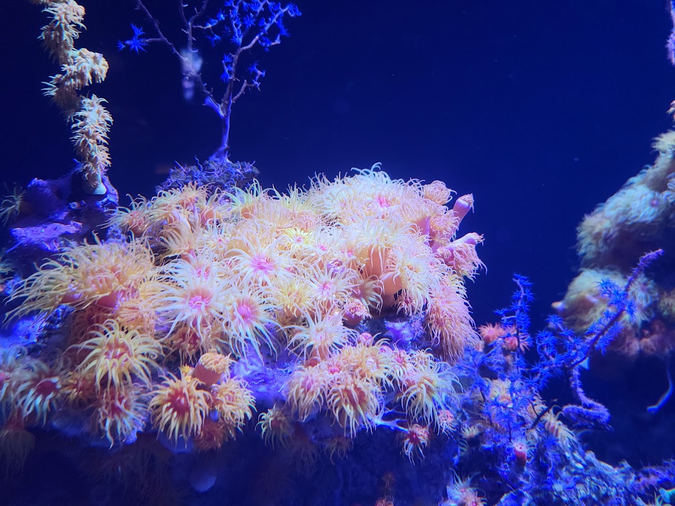 Seattle Aquarium Travel | Park