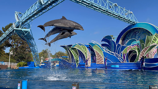 SeaWorld San Diego Entertainment | Theme Park
