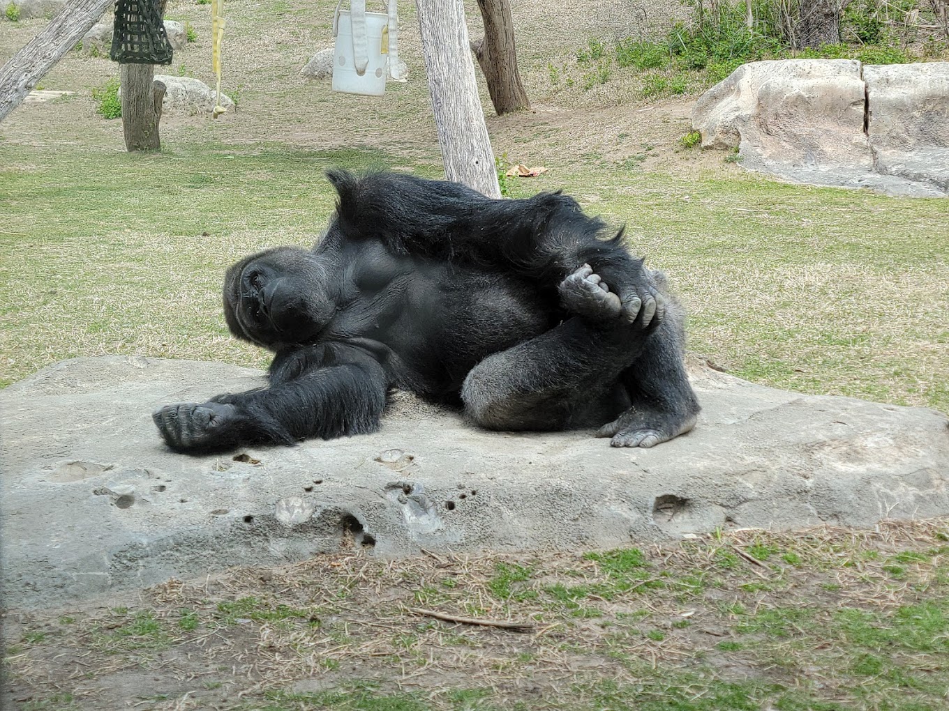 Sedgwick County Zoo Travel | Zoo and Wildlife Sanctuary 