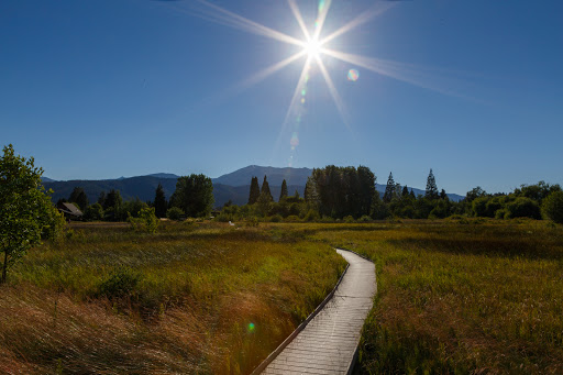 Sisson Meadow Travel | Park
