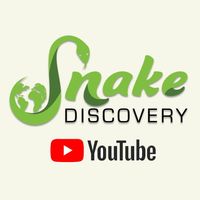 Snake Discovery: A Reptile Experience - Logo