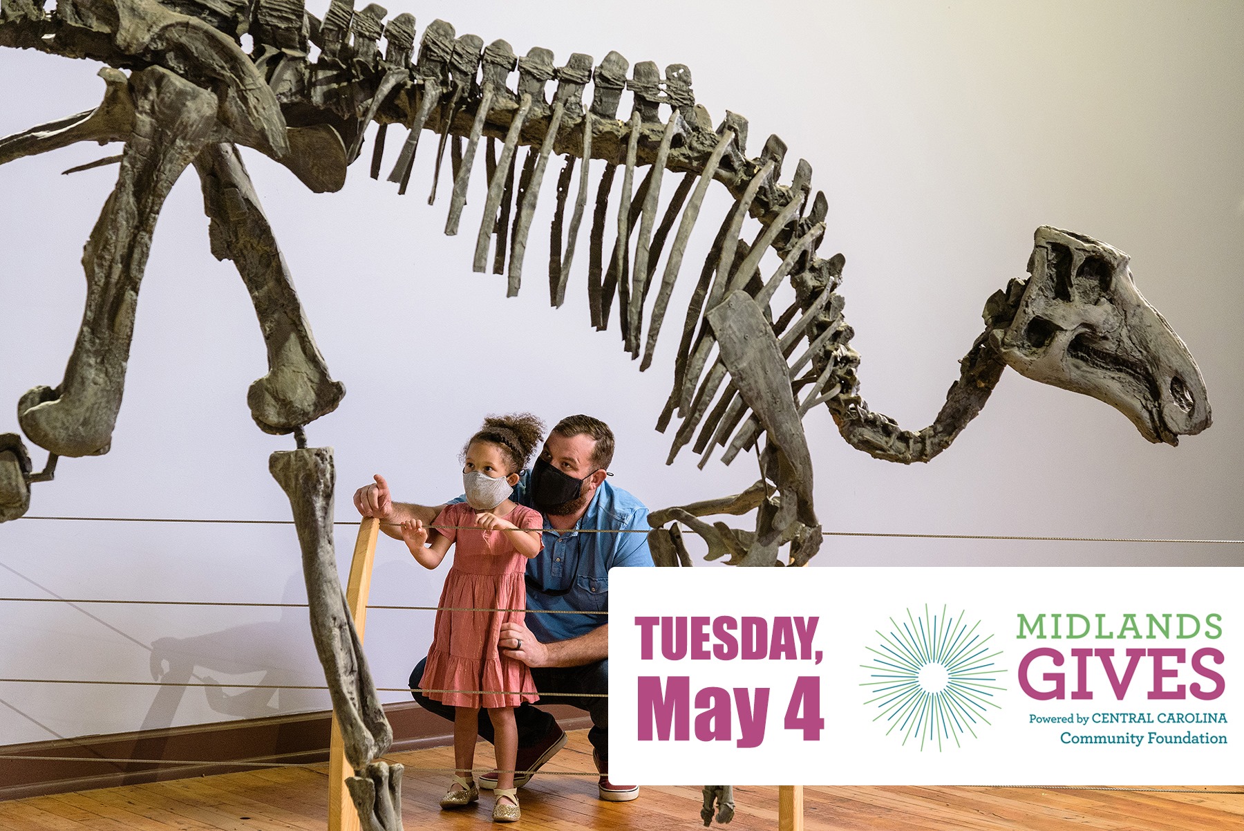 South Carolina State Museum Travel | Museums