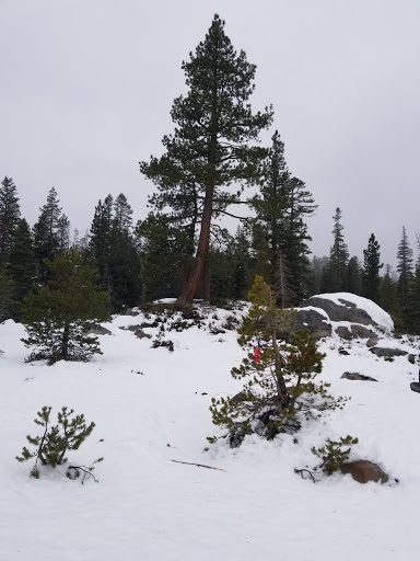 Spicer Sno-Park Travel | Park