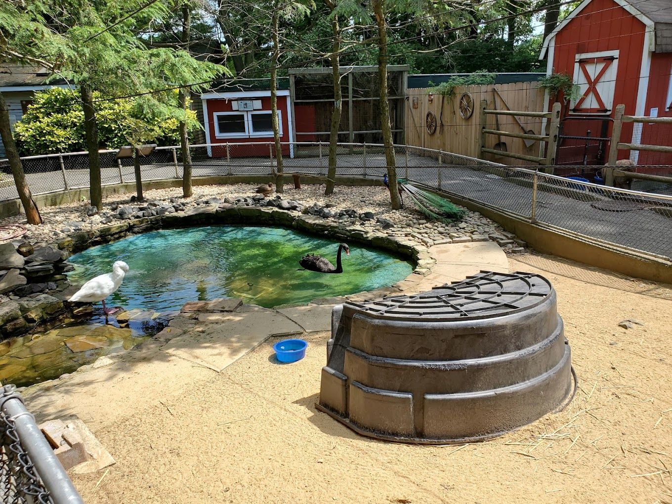 Staten Island Zoo Travel | Zoo and Wildlife Sanctuary 