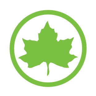 Steeplechase Park - Logo