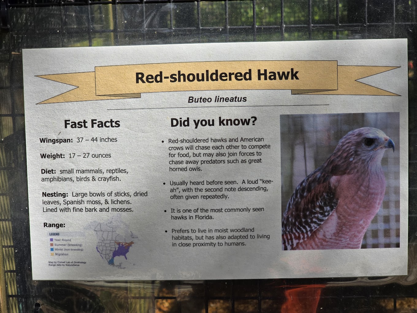 Tampa Bay Raptor Rescue Travel | Zoo and Wildlife Sanctuary 