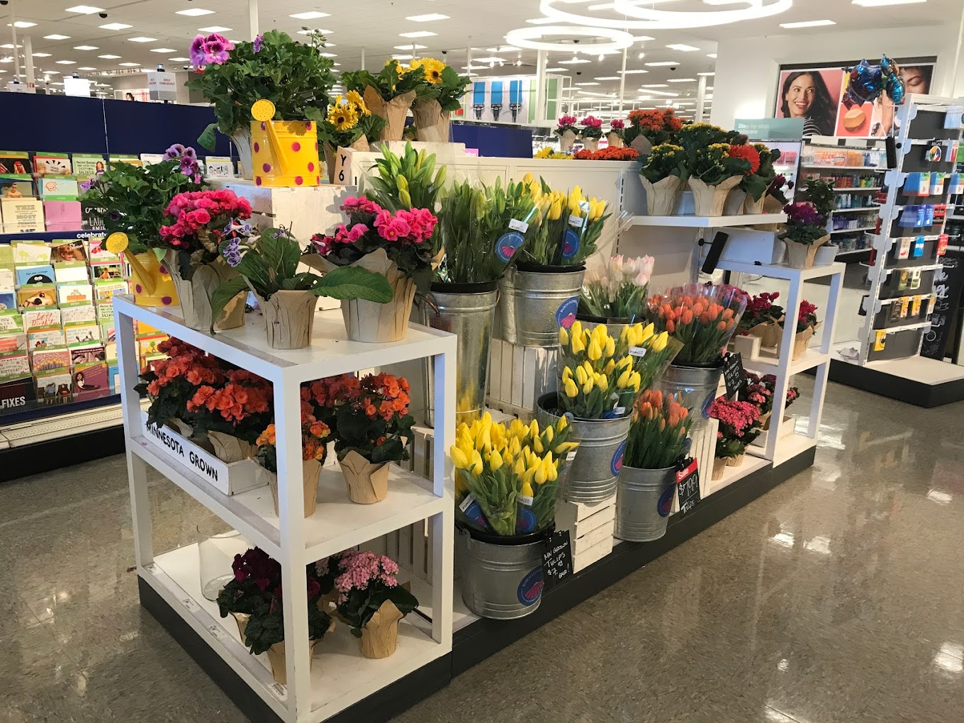 Target Fridley Store Shopping | Supermarket