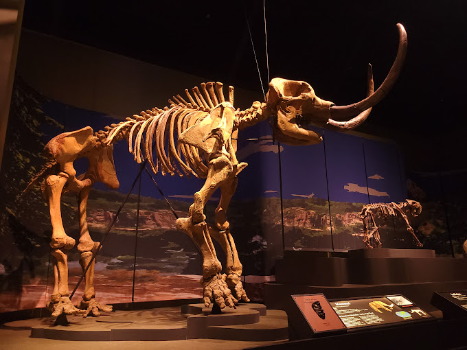 Tellus Science Museum Travel | Museums