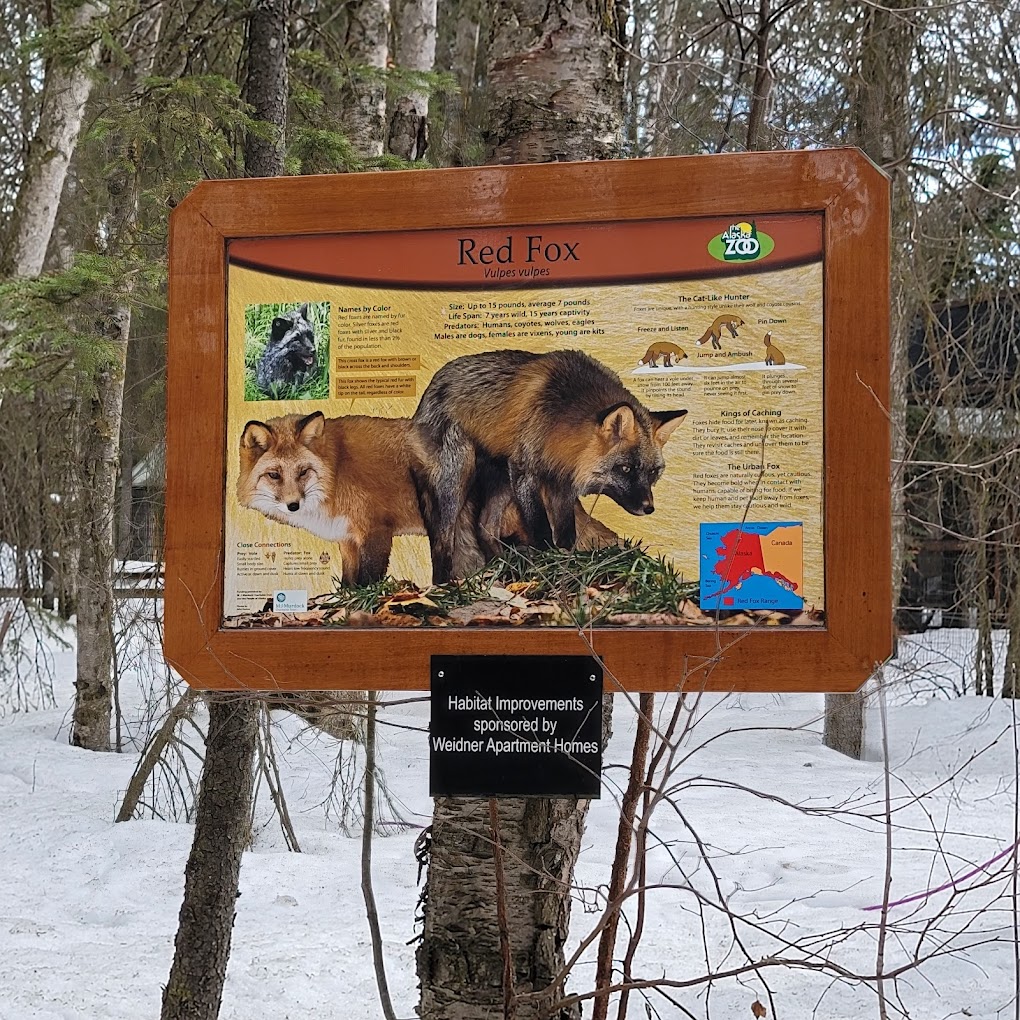 THE ALASKA ZOO Travel | Zoo and Wildlife Sanctuary 