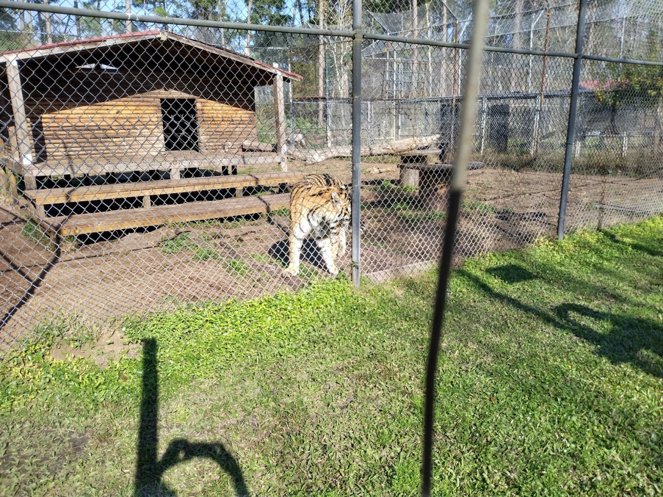 The Catty Shack Ranch Wildlife Sanctuary Travel | Zoo and Wildlife Sanctuary 