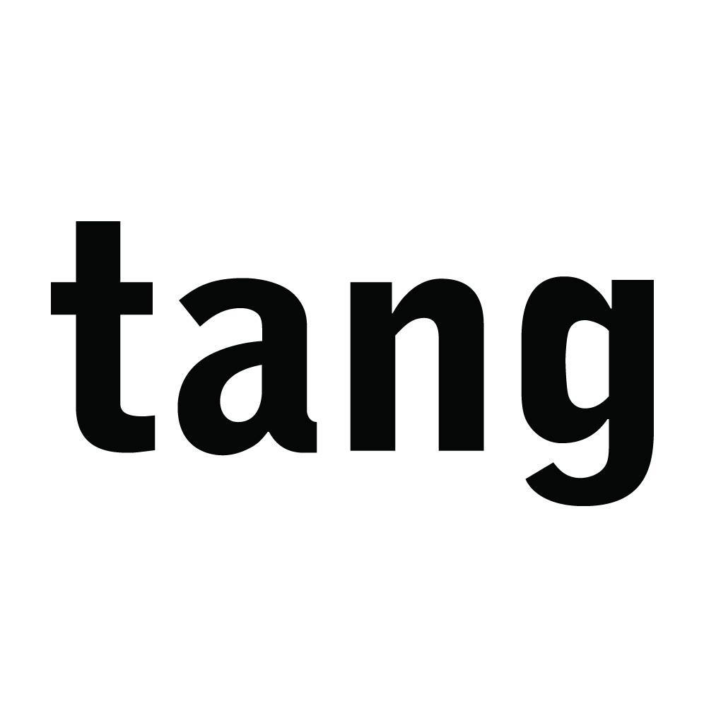 The Frances Young Tang Teaching Museum and Art Gallery - Logo