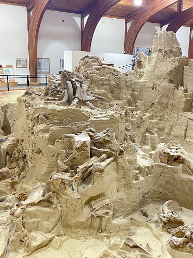 The Mammoth Site Travel | Museums