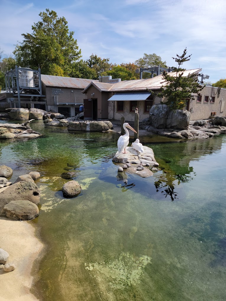 The Maryland Zoo in Baltimore Travel | Zoo and Wildlife Sanctuary 