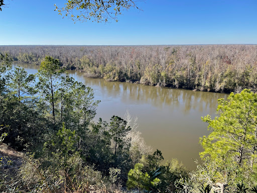 The Nature Conservancy Apalachicola Bluffs and Ravines Preserve (Garden of Eden trail) Travel | Park