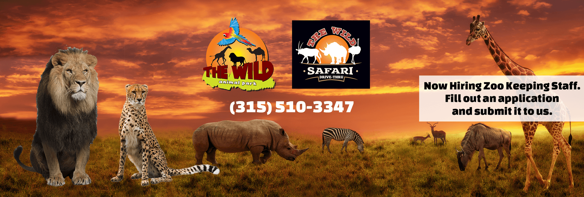 The Wild Animal Park - Logo