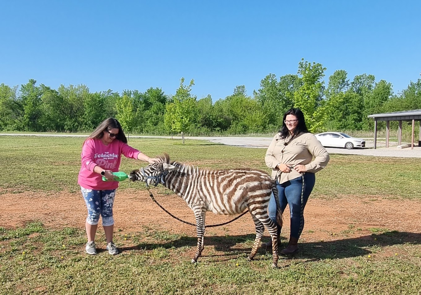 Tiger Safari Zoological Park Travel | Zoo and Wildlife Sanctuary 
