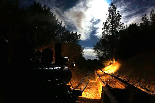 Tilden Park Steam Train at the Redwood Valley Railway Entertainment | Amusement Park