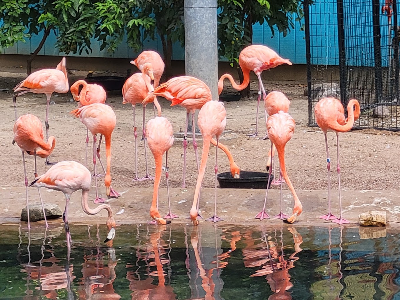 Toledo Zoo Travel | Zoo and Wildlife Sanctuary 