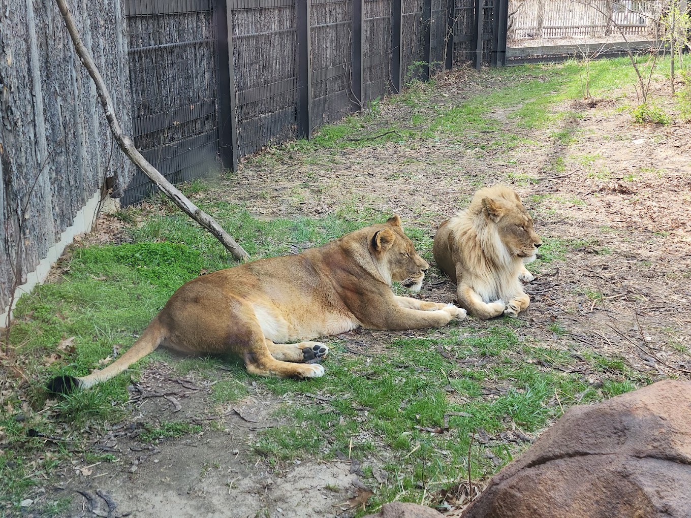 Topeka Zoo Travel | Zoo and Wildlife Sanctuary 