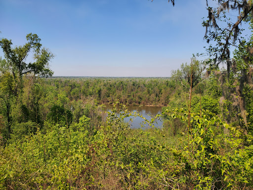 Torreya State Park Travel | Park