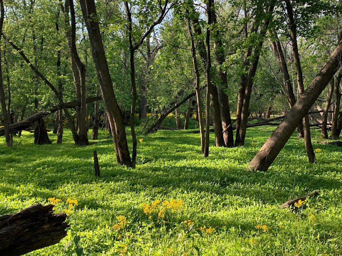 Trailside Museum of Natural History Travel | Museums