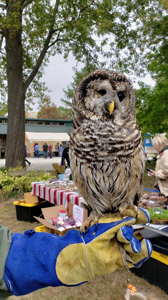 Treehouse Wildlife Center Inc Travel | Zoo and Wildlife Sanctuary 