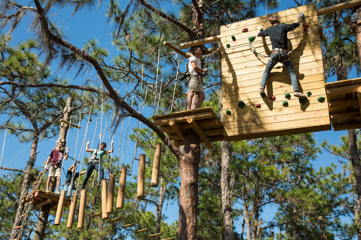 TreeUmph! Adventure Course Entertainment | Adventure Park