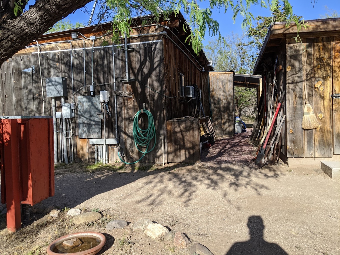Tucson Wildlife Center Inc Travel | Zoo and Wildlife Sanctuary 