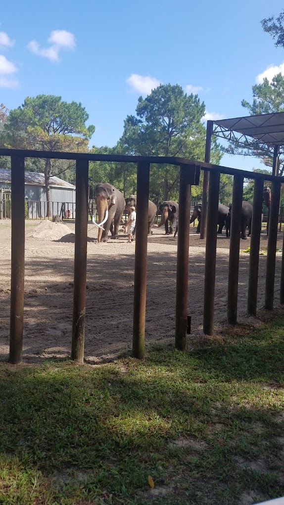 Two Tails Ranch Travel | Zoo and Wildlife Sanctuary 