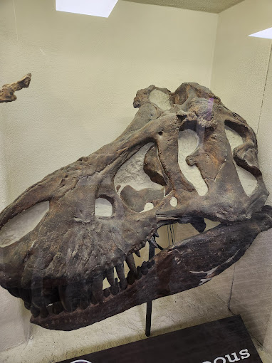 University of Nebraska State Museum Travel | Museums