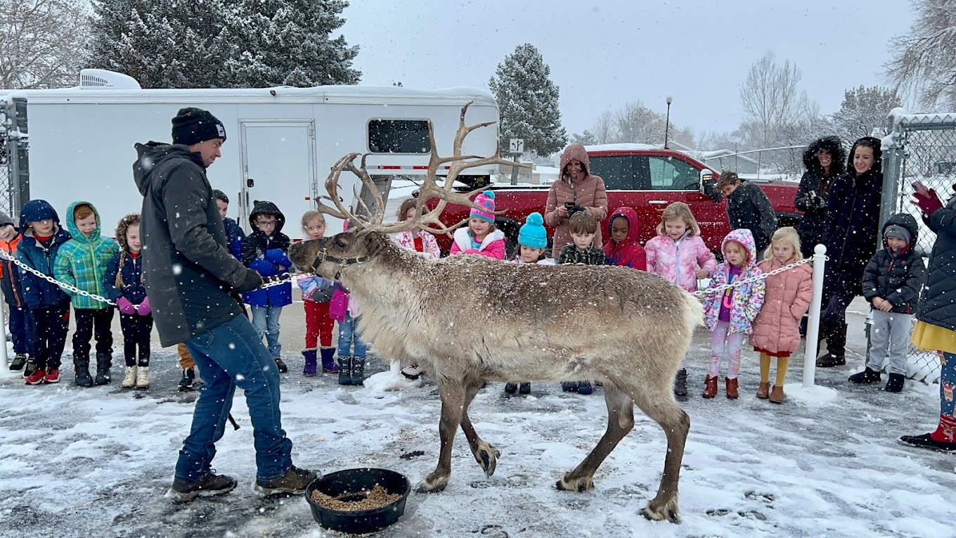 Utah Reindeer Travel | Zoo and Wildlife Sanctuary 