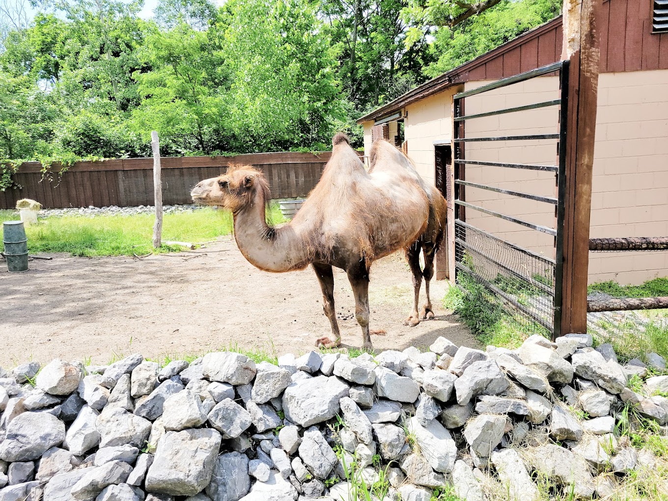 Utica Zoo Travel | Zoo and Wildlife Sanctuary 