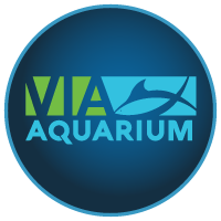 VIA Aquarium - Logo