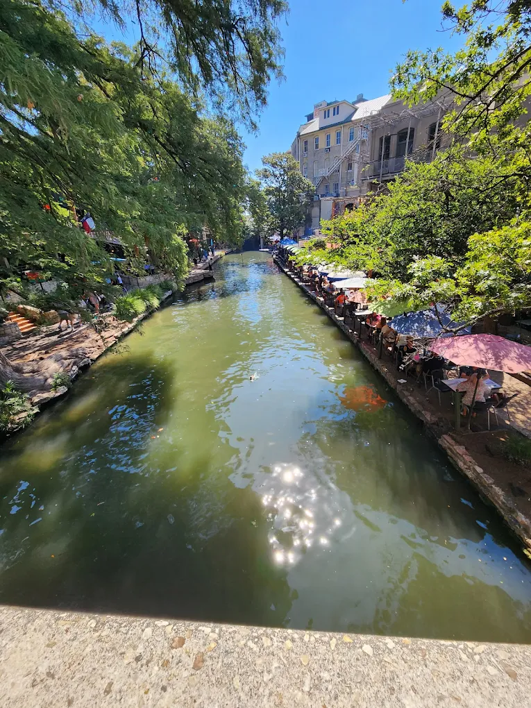 Walgreen Shopping | Store