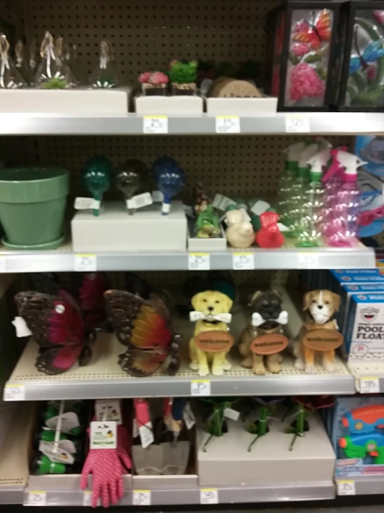 Walgreen Shopping | Store