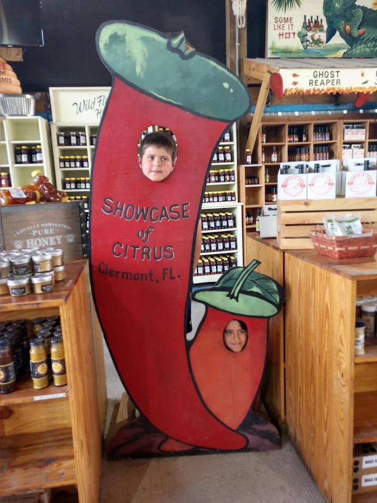 Walgreen Shopping | Store