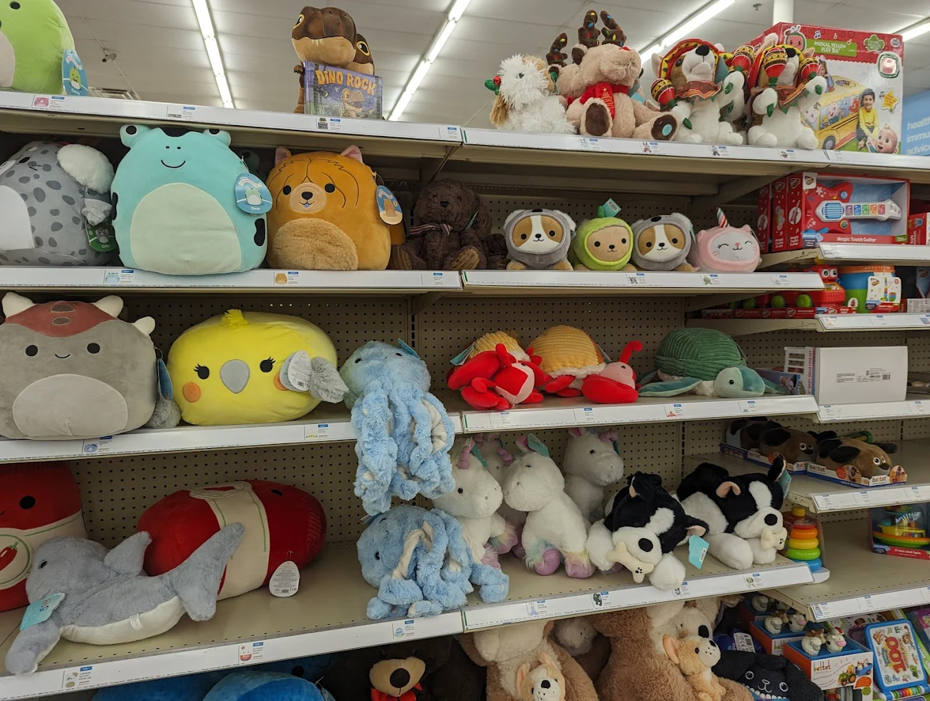 Walgreen Shopping | Store