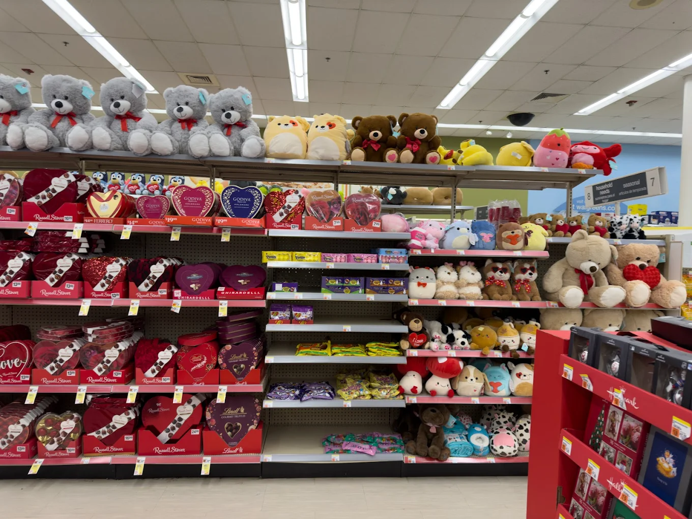 Walgreen Shopping | Store