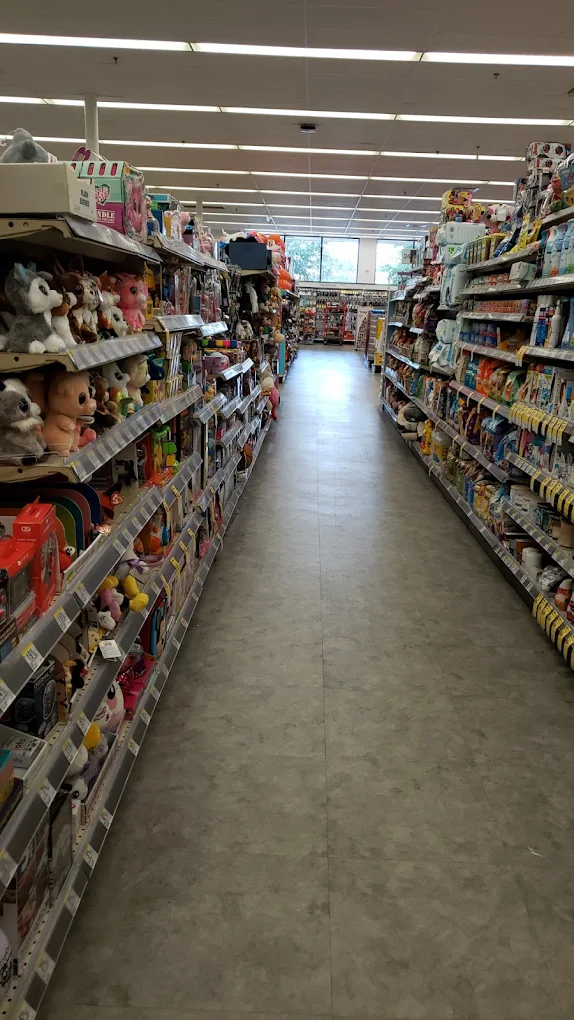 Walgreen Shopping | Store