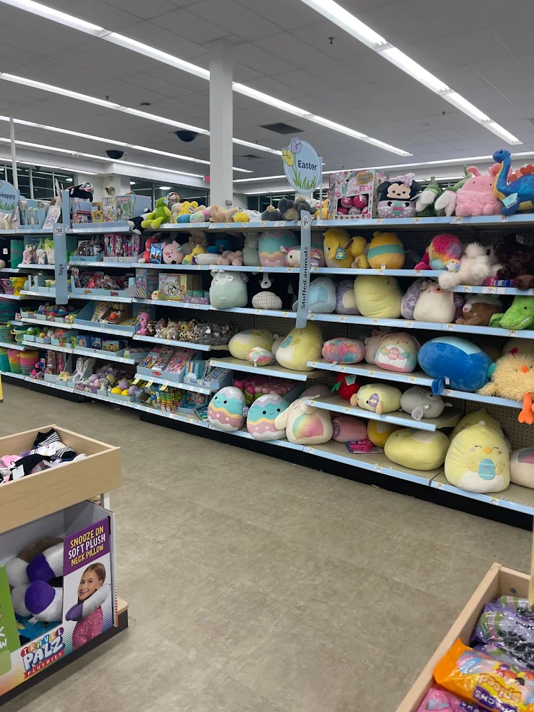 Walgreen Shopping | Store