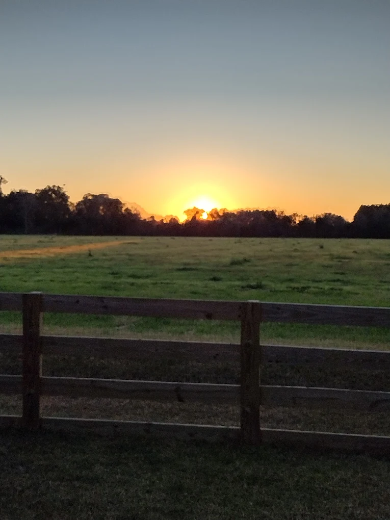 Walgreens Shopping | Mall