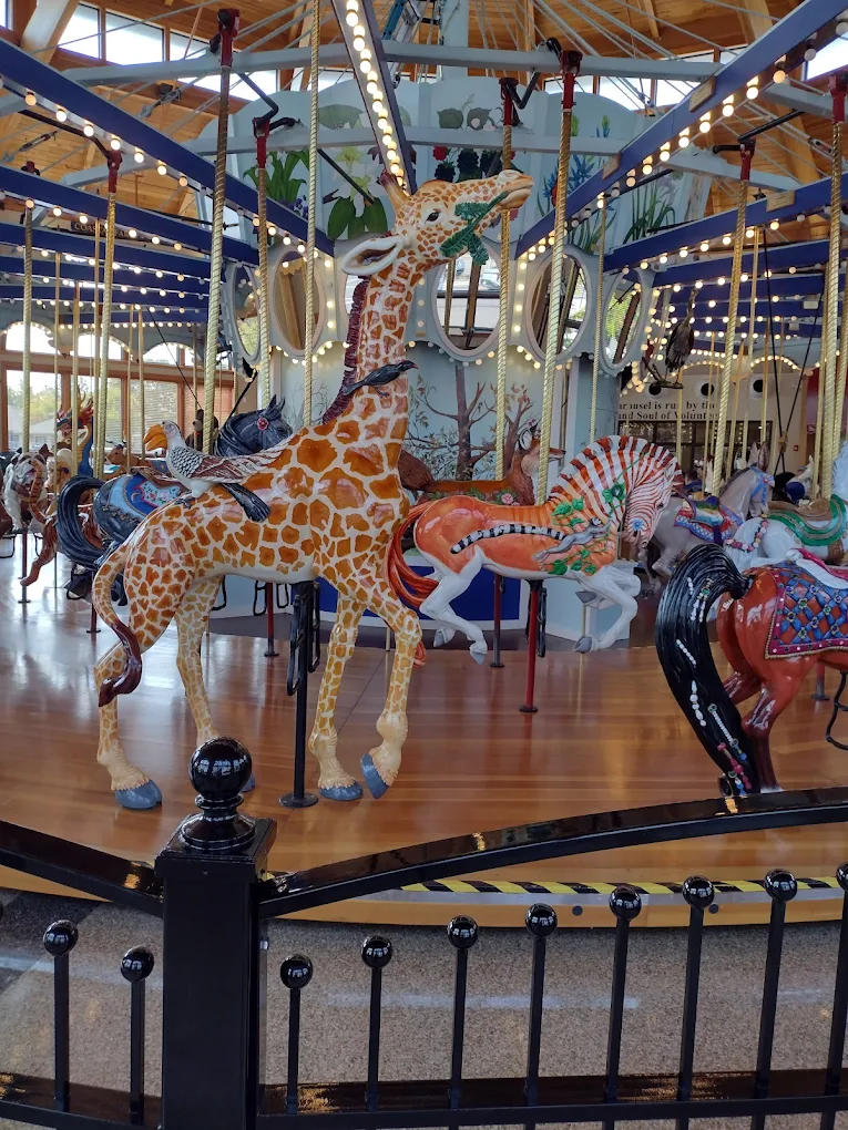 Walgreens Shopping | Mall