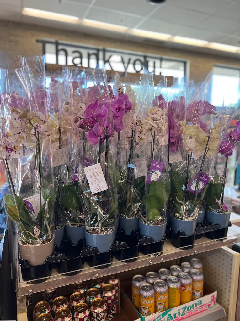 Walgreens  Shopping | Store