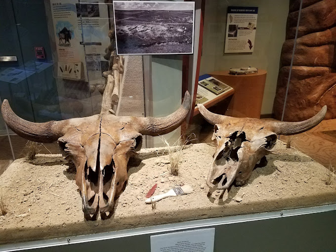 Washakie Museum  Cultural Center Travel | Museums