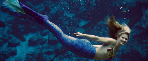 Weeki Wachee Springs State Park Travel | Park