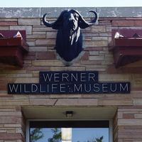 Werner Wildlife Museum - Logo