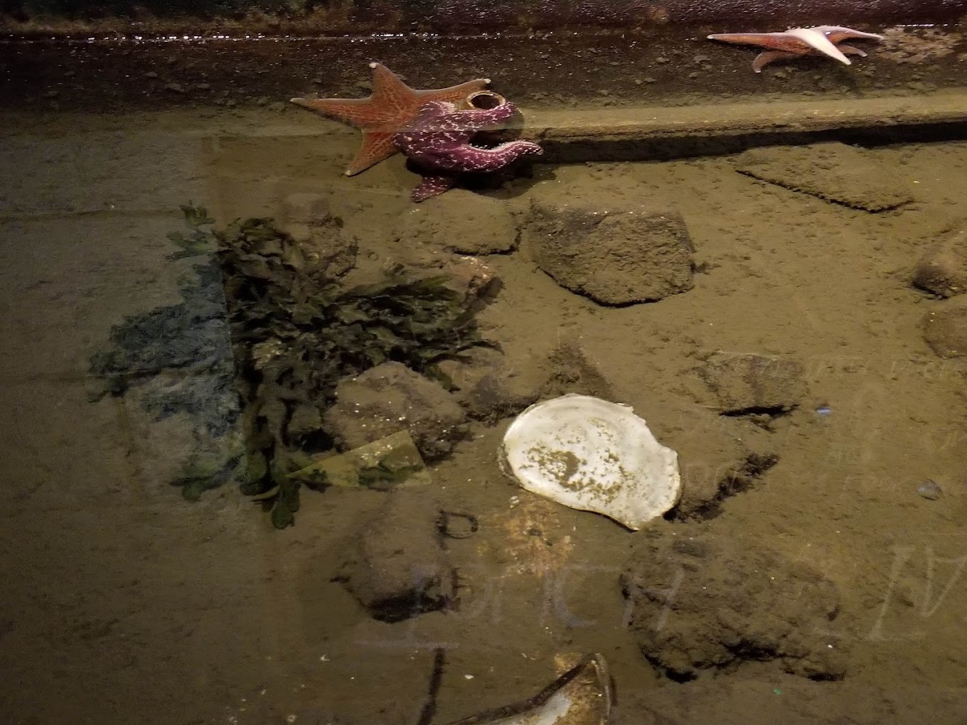 Westport Aquarium Travel | Park
