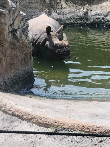 Wharton-Smith Tropical Splash Ground Travel | Zoo and Wildlife Sanctuary 