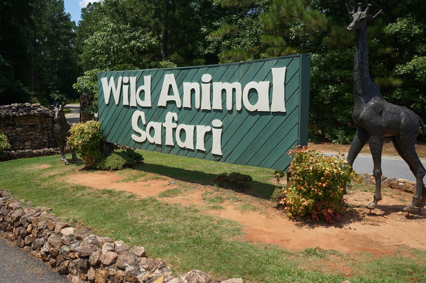 Wild Animal Safari Travel | Zoo and Wildlife Sanctuary 