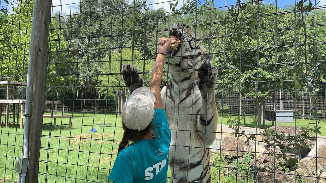 Wildlife Conservation Foundation Travel | Zoo and Wildlife Sanctuary 